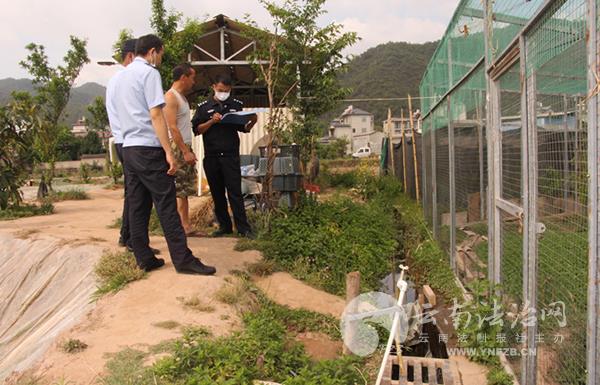 野生饲养场最新交通动态